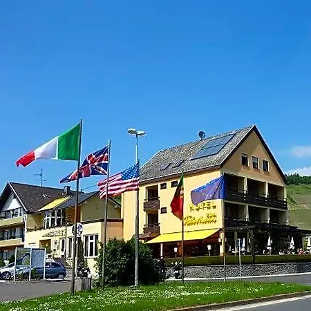 Отель Zum Faehrturm 3*