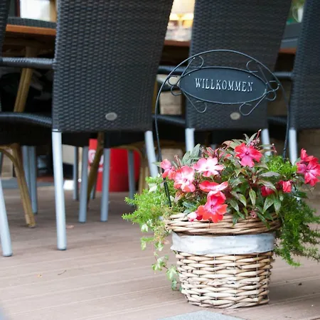 Hotel Zum Faehrturm Mehring (Rhineland-Palatinate)